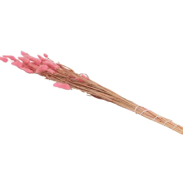 Green Boots Zaaien & Planten^Droogboeket