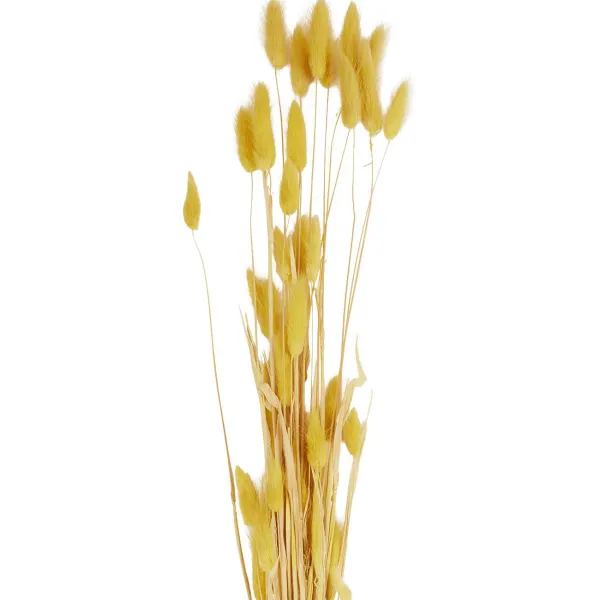 Green Boots Zaaien & Planten^Droogboeket