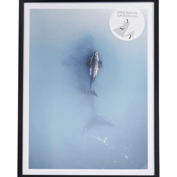 Merk Fotolijstjes^Fotoframe Met Posters