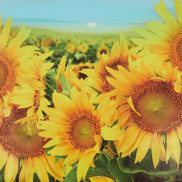 Merk Tuindecoratie^Garden Collection Tuindoek