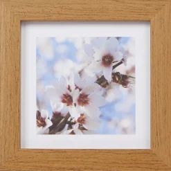 Merk Fotolijstjes^Home Accents Fotolijst