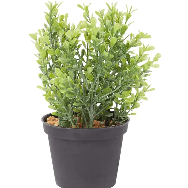 Merk Kunstplanten & -Bloemen^Kunstkruidenplant