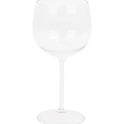 Royal Leerdam Glazen^Kunststof Gin-, Martini- Of Wijnglas