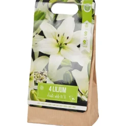 Green Boots Zaaien & Planten^Lelie Bloembollen