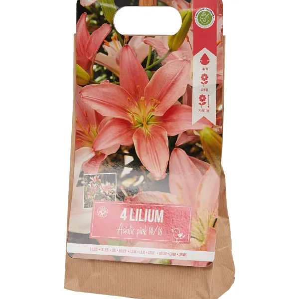 Green Boots Zaaien & Planten^Lelie Bloembollen