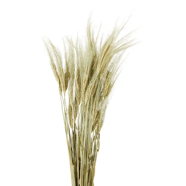 Merk Kunstplanten & -Bloemen^Nederlandse Droog Kunstbloemen