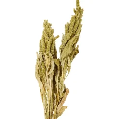 Merk Kunstplanten & -Bloemen^Nederlandse Droog Kunstbloemen