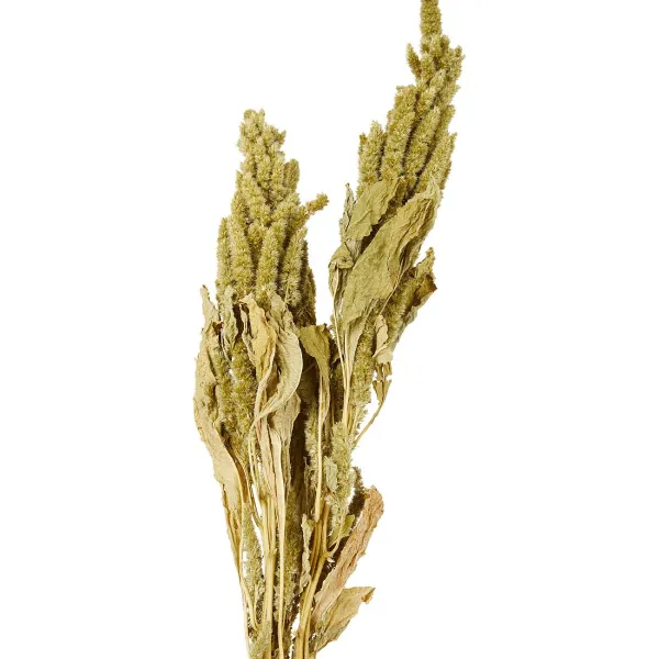 Merk Kunstplanten & -Bloemen^Nederlandse Droog Kunstbloemen