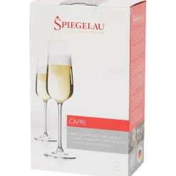 Spiegelau Glazen^Champagneglazen