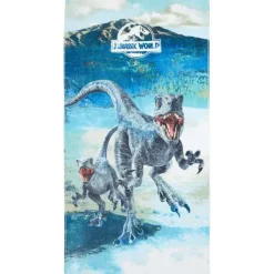 Disney Badtextiel^Strandlaken