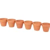 Merk Bloempotten^Terracotta Bloempotjes